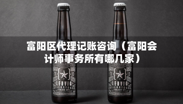 富阳区代理记账咨询（富阳会计师事务所有哪几家）