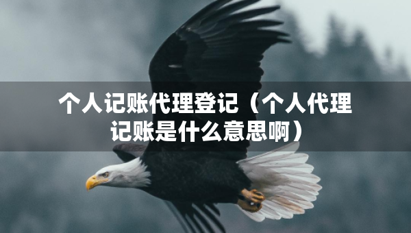 个人记账代理登记（个人代理记账是什么意思啊）