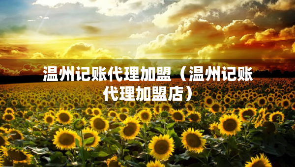 温州记账代理加盟（温州记账代理加盟店）
