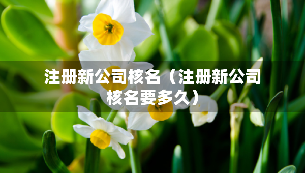 注册新公司核名（注册新公司核名要多久）