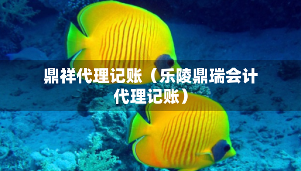鼎祥代理记账（乐陵鼎瑞会计代理记账）