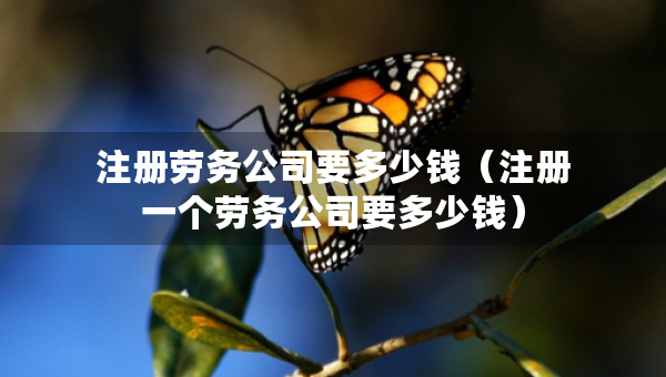 注册劳务公司要多少钱（注册一个劳务公司要多少钱）