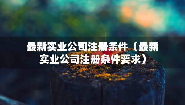 最新实业公司注册条件（最新实业公司注册条件要求）