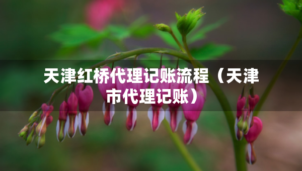 天津红桥代理记账流程（天津市代理记账）