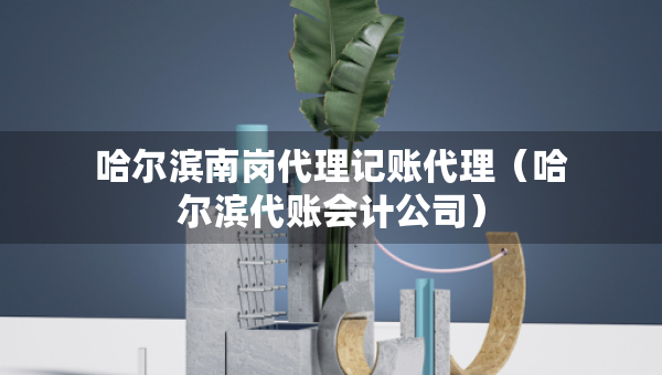 哈尔滨南岗代理记账代理（哈尔滨代账会计公司）