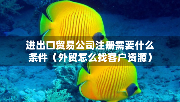 进出口贸易公司注册需要什么条件（外贸怎么找客户资源）