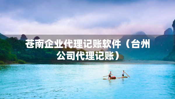 苍南企业代理记账软件（台州公司代理记账）