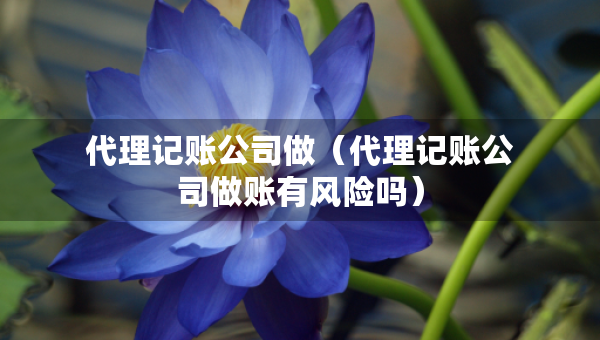 代理记账公司做（代理记账公司做账有风险吗）