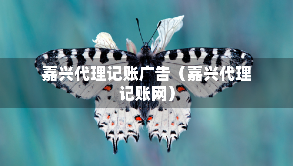 嘉兴代理记账广告（嘉兴代理记账网）