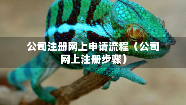 公司注册网上申请流程（公司网上注册步骤）