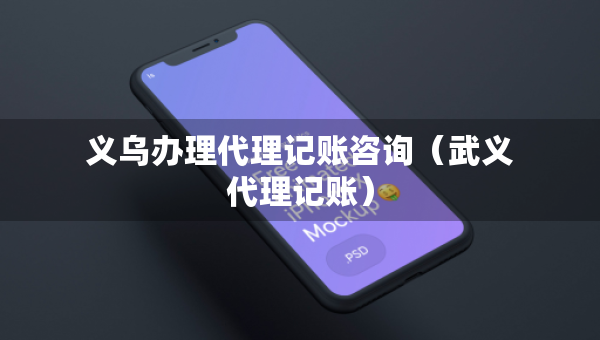 义乌办理代理记账咨询（武义代理记账）