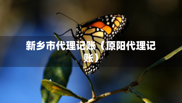 新乡市代理记账（原阳代理记账）