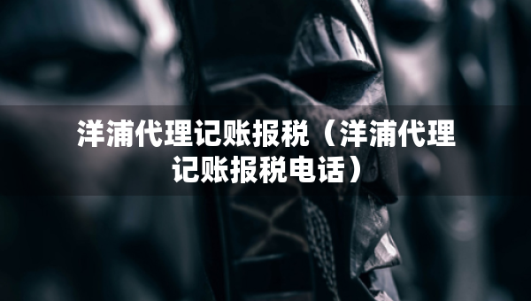 洋浦代理记账报税（洋浦代理记账报税电话）
