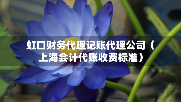 虹口财务代理记账代理公司（上海会计代账收费标准）