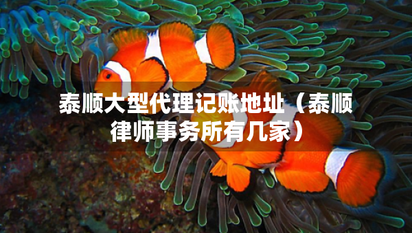 泰顺大型代理记账地址（泰顺律师事务所有几家）