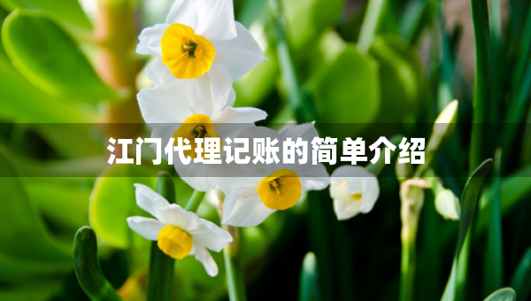 江门代理记账的简单介绍