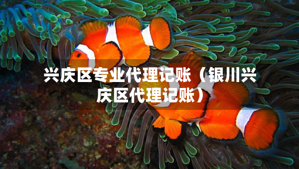 兴庆区专业代理记账（银川兴庆区代理记账）