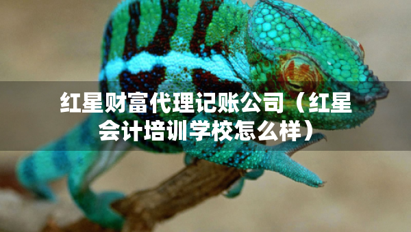 红星财富代理记账公司（红星会计培训学校怎么样）