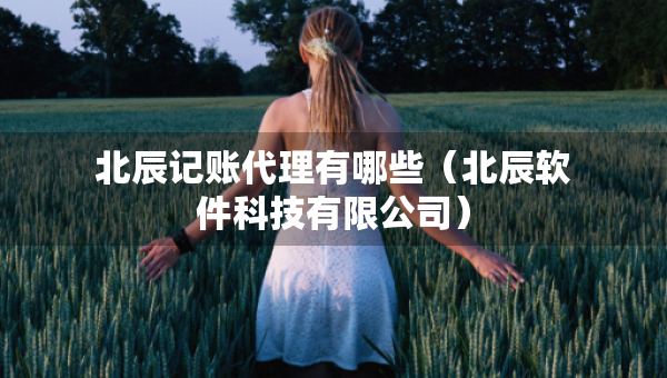北辰记账代理有哪些（北辰软件科技有限公司）