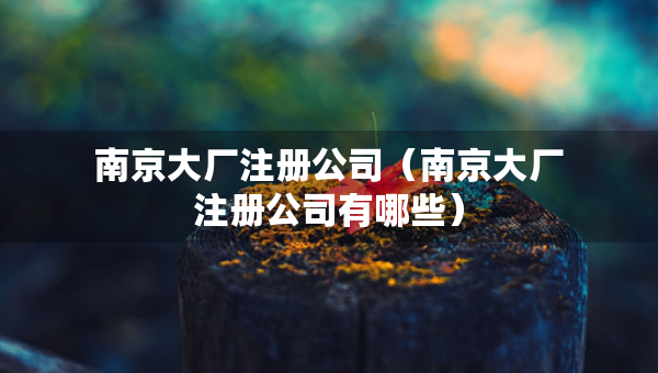 南京大厂注册公司（南京大厂注册公司有哪些）