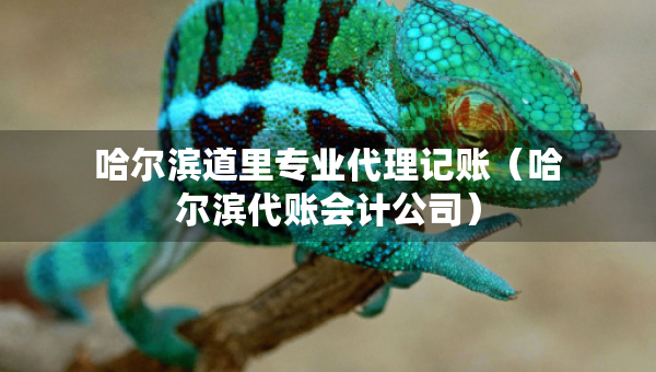 哈尔滨道里专业代理记账（哈尔滨代账会计公司）