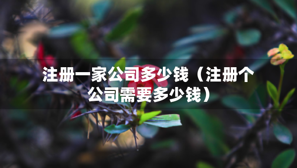 注册一家公司多少钱（注册个公司需要多少钱）