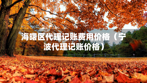 海曙区代理记账费用价格（宁波代理记账价格）