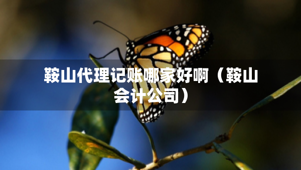 鞍山代理记账哪家好啊（鞍山会计公司）