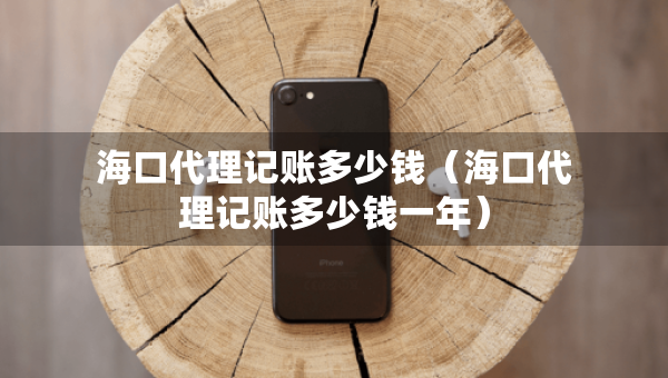 海口代理记账多少钱（海口代理记账多少钱一年）
