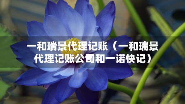 一和瑞景代理记账（一和瑞景代理记账公司和一诺快记）