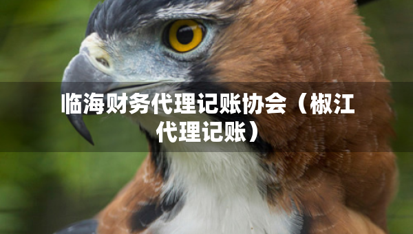 临海财务代理记账协会（椒江代理记账）