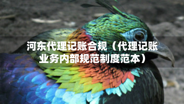 河东代理记账合规（代理记账业务内部规范制度范本）