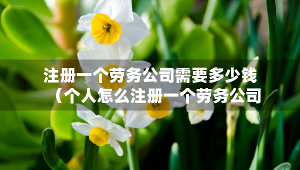 注册一个劳务公司需要多少钱（个人怎么注册一个劳务公司）