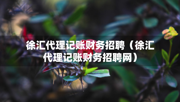 徐汇代理记账财务招聘（徐汇代理记账财务招聘网）