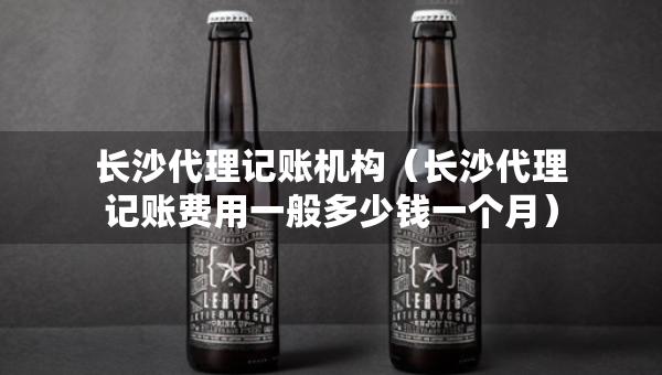 长沙代理记账机构（长沙代理记账费用一般多少钱一个月）
