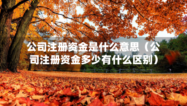 公司注册资金是什么意思（公司注册资金多少有什么区别）