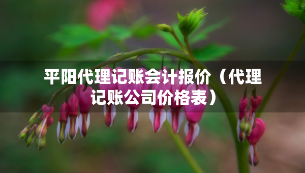 平阳代理记账会计报价（代理记账公司价格表）