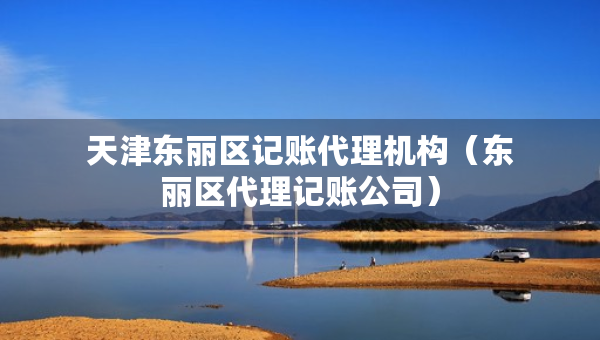 天津东丽区记账代理机构（东丽区代理记账公司）