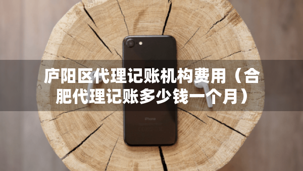 庐阳区代理记账机构费用（合肥代理记账多少钱一个月）