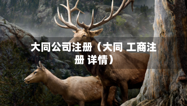 大同公司注册（大同 工商注册 详情）