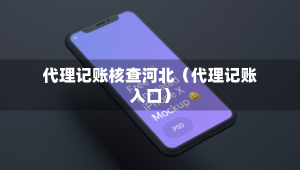 代理记账核查河北（代理记账入口）