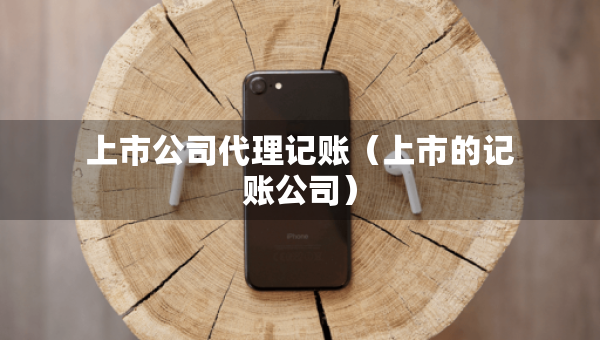 上市公司代理记账（上市的记账公司）