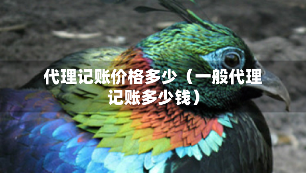 代理记账价格多少（一般代理记账多少钱）