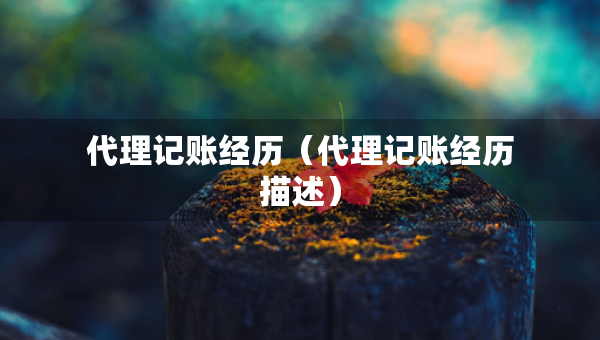 代理记账经历（代理记账经历描述）