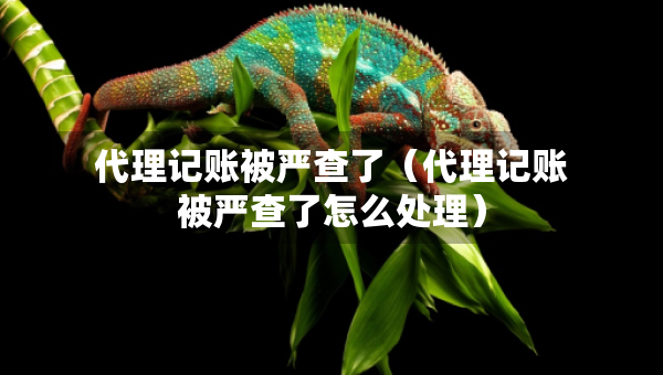 代理记账被严查了（代理记账被严查了怎么处理）