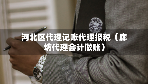 河北区代理记账代理报税（廊坊代理会计做账）