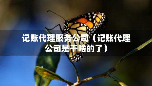 记账代理服务公司（记账代理公司是干啥的了）