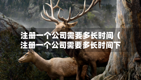 注册一个公司需要多长时间（注册一个公司需要多长时间下来）