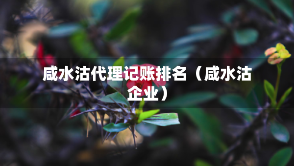 咸水沽代理记账排名（咸水沽企业）