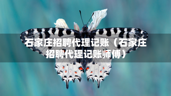 石家庄招聘代理记账（石家庄招聘代理记账师傅）